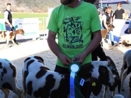 2019_ausstellung polling_747